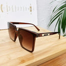 2020 Vision Sunglasses