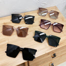 2020 Vision Sunglasses